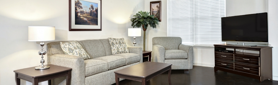 Living room fully furnished